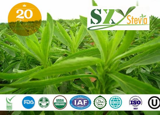 SXY stevia _ stevia extract_ granule_ tablets_